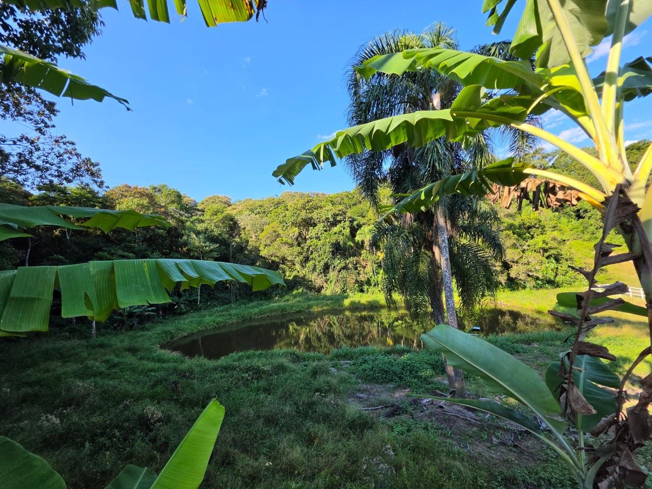 Sítio à Venda em Imaruí – SC  