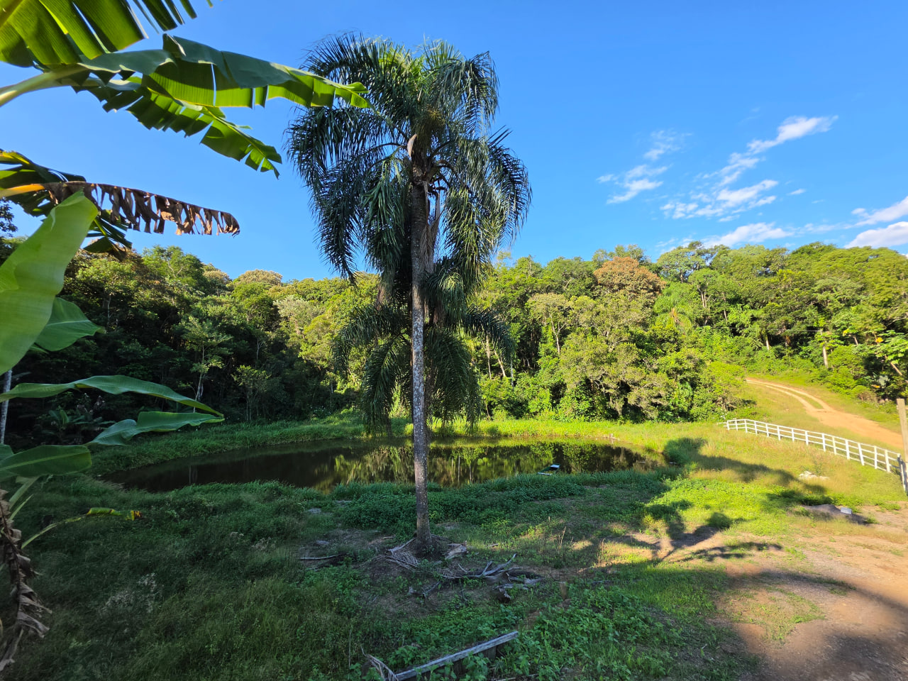 Sítio à Venda em Imaruí – SC  