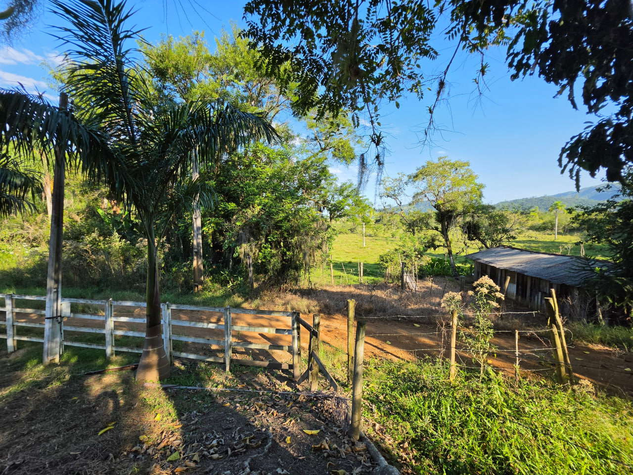 Sítio à Venda em Imaruí – SC  