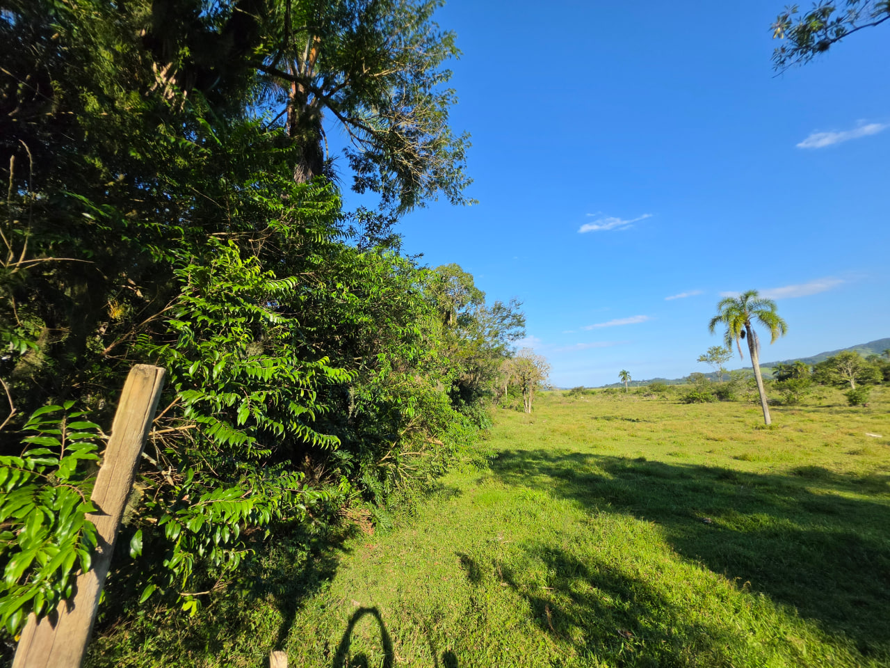 Sítio à Venda em Imaruí – SC  