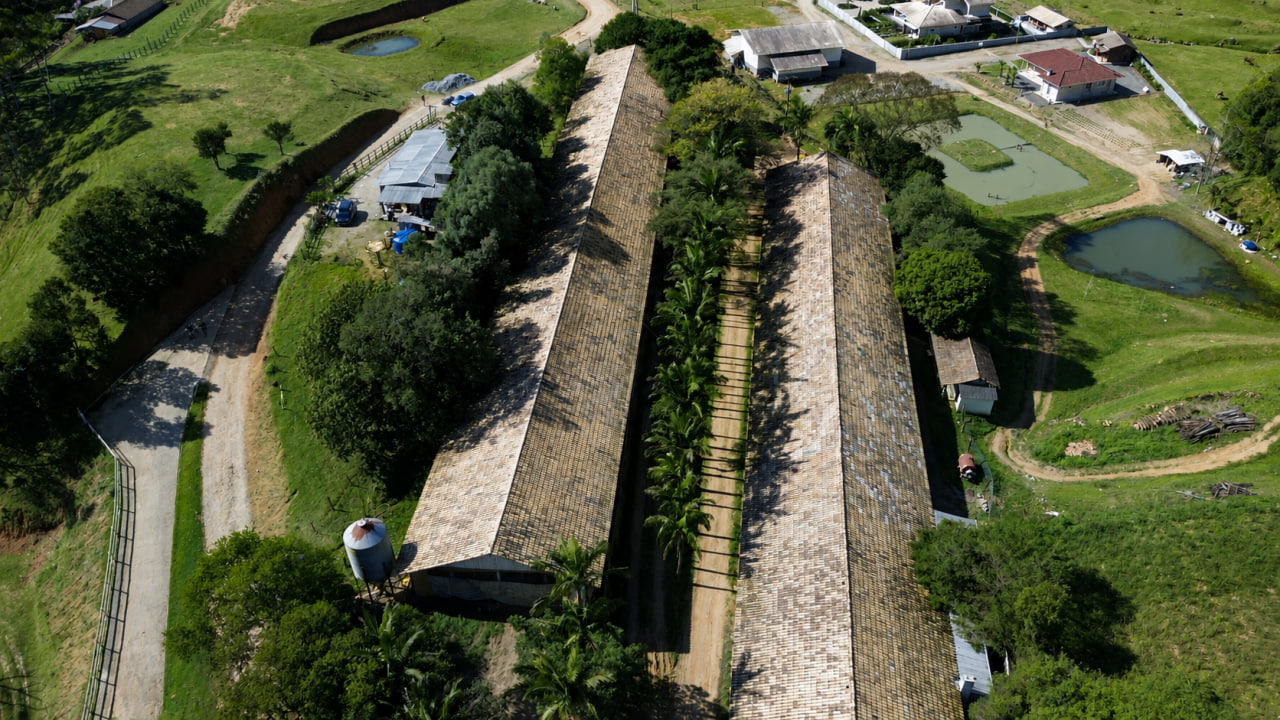 Sitio á venda em São Pedro de Alcântara/SC